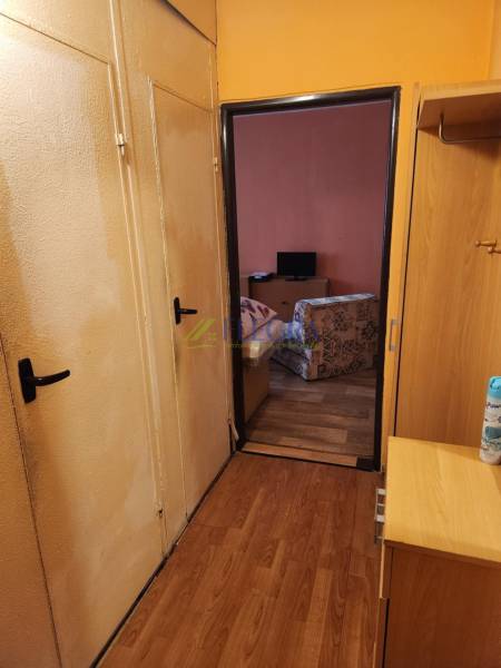 Hallway in a one-room apartment with doors leading to the living room.