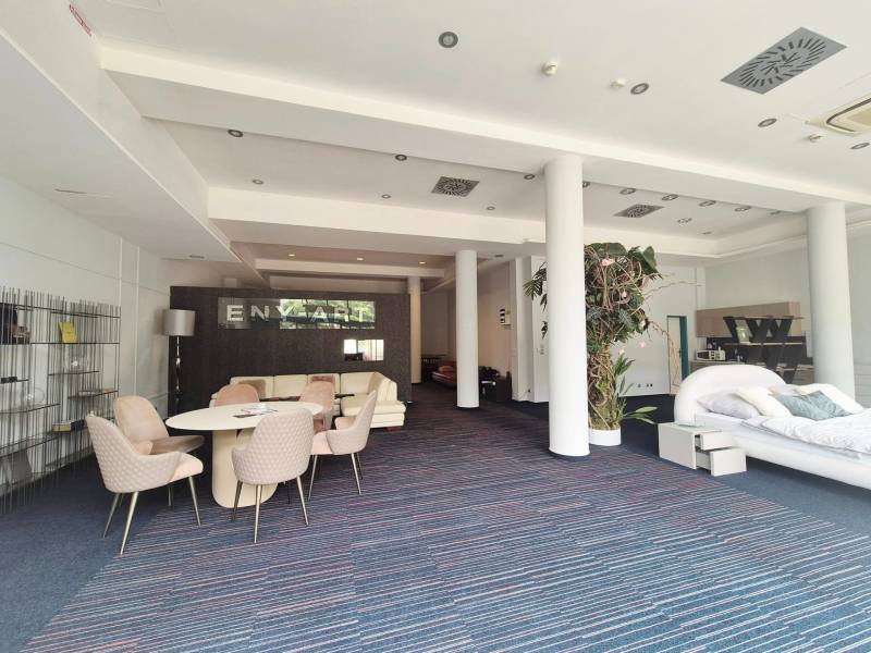 The interior of commercial spaces with furniture and plants, the room is spacious and bright.