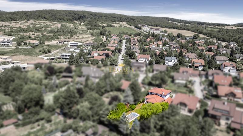 A view of family houses in Limbach surrounded by greenery and hills in the background.