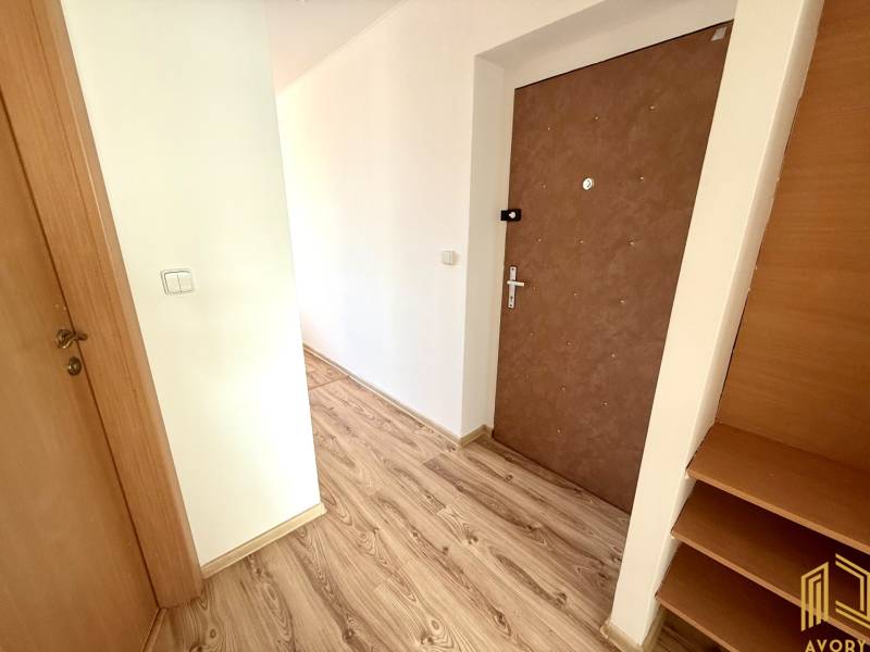A hallway with a wooden floor and doors in the entrance area of a 2-room apartment.