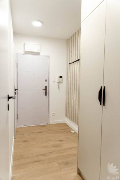 Bright hallway in a 2-room apartment with wooden flooring and white walls.