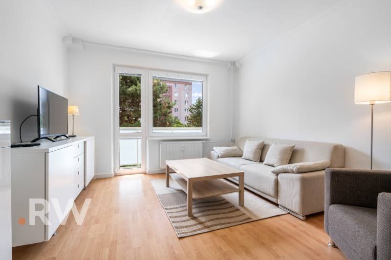 Living room in a two-room apartment with a wooden decor floor and a comfortable sofa.