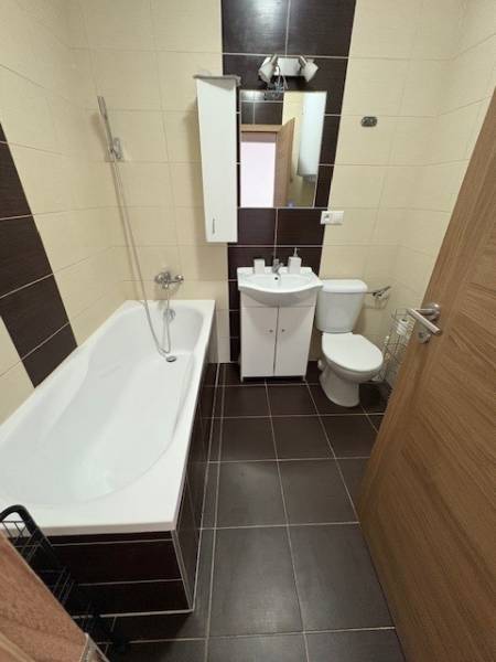 A bathroom in a 2-room apartment with a shower bath and toilet, decorated in dark and light tiles.