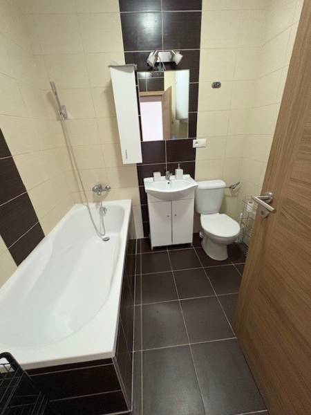 The bathroom in a 2-room apartment includes a bathtub, a sink, a toilet, and a mirror.