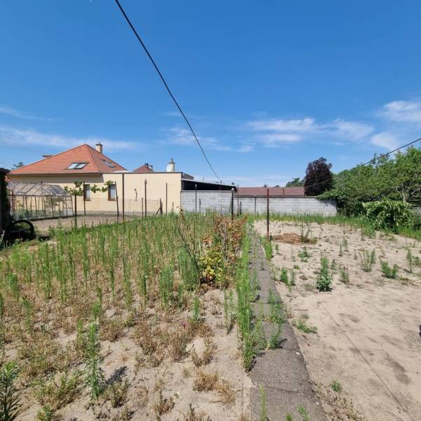 A garden behind a family house on Písniky Street in Malacky with lush vegetation and fencing.