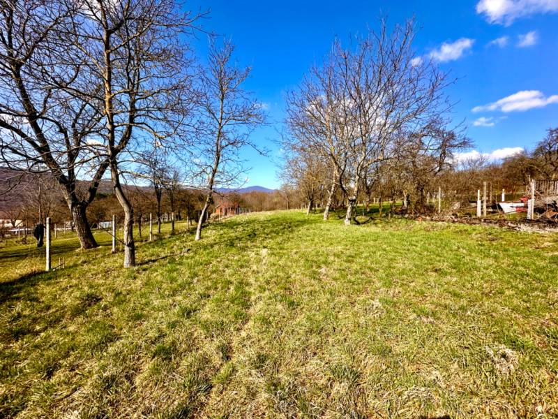 Spring landscape with lawn and trees during house construction in Moravské Lieskové.