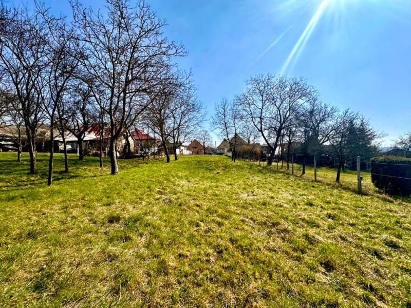Grassy land with fruit trees and houses in the background, Moravské Lieskové, construction of houses.
