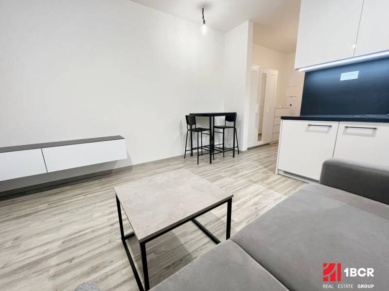 A minimalist living room with furniture in a studio apartment, bright and clean lines.