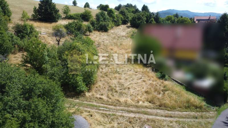 A meadow with grass and trees on a residential plot in Banská Štiavnica, SNP Street.