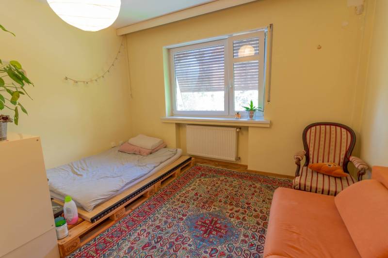 A room with a sofa, a pallet bed, a carpet, and houseplants in a 4-room apartment.