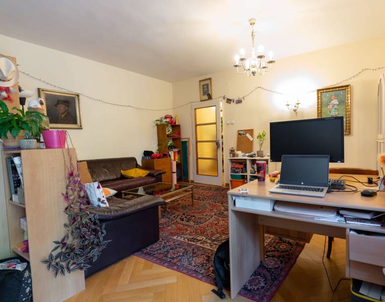 Living room in a four-room apartment with a carpet and a wooden decor floor.