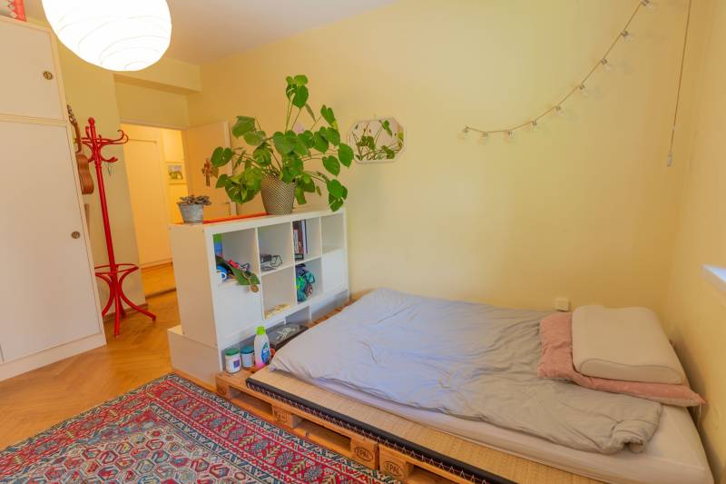 Bedroom in a 4-room apartment with a pallet bed, carpet, shelves, and plants.