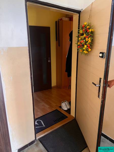 The entrance hall in a 3-room apartment shows open doors and wall decoration.