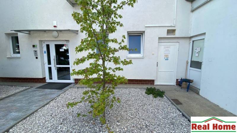 Entrance to commercial premises with a white facade and a small tree in the foreground.