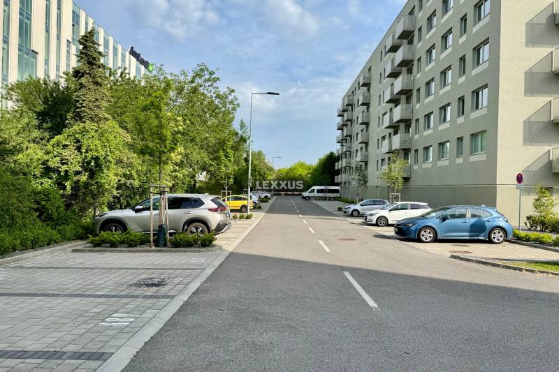 A road with cars and greenery in Bratislava-Trnávka on Ivánska Road, next to residential buildings.