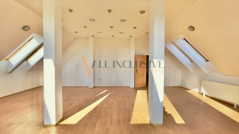 Attic space in a building with wooden floors and skylights.