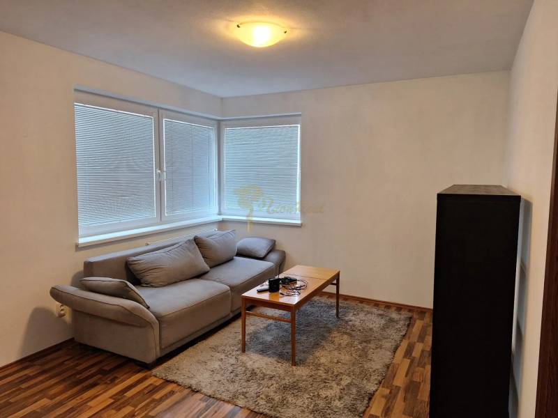 Living room in a 2-room apartment with a sofa, table, and carpet on a wooden floor.