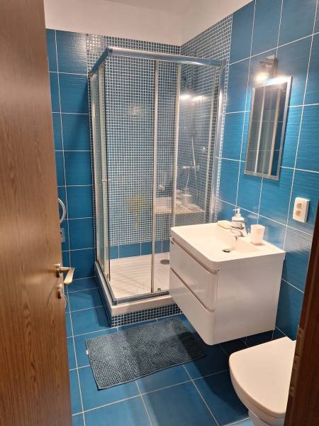 A bathroom with blue tiles and a shower in a 2-room apartment.
