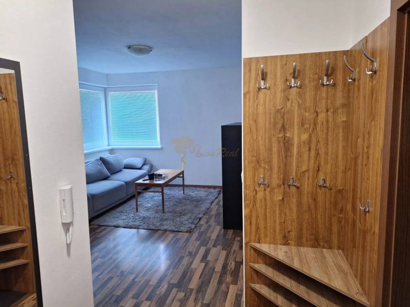 In the 2-room apartment, there is a sofa, a coffee table, wooden paneling, and coat hooks.