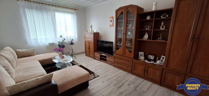 Living room in a 3-room apartment with a sofa, cabinet, and television, light decoration.