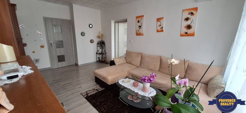 Living room of a three-room apartment with a sofa, decorations, and wooden doors.