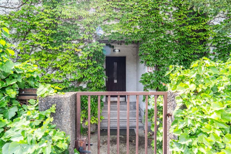 Overgrown entrance to the house on Brnianska Street in Bratislava - Old Town.