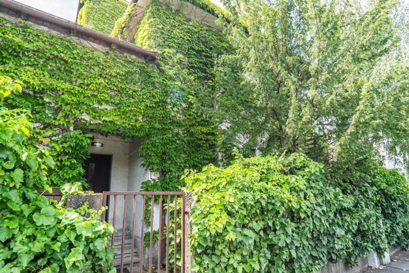 Overgrown facade of a house on Brnianska Street in Bratislava - Old Town.