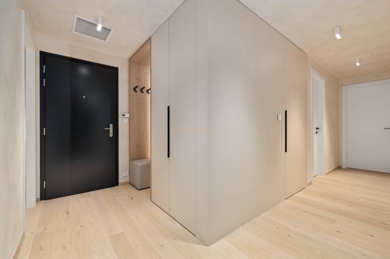 Entrance hall in a 3-room apartment with wooden flooring and black doors.