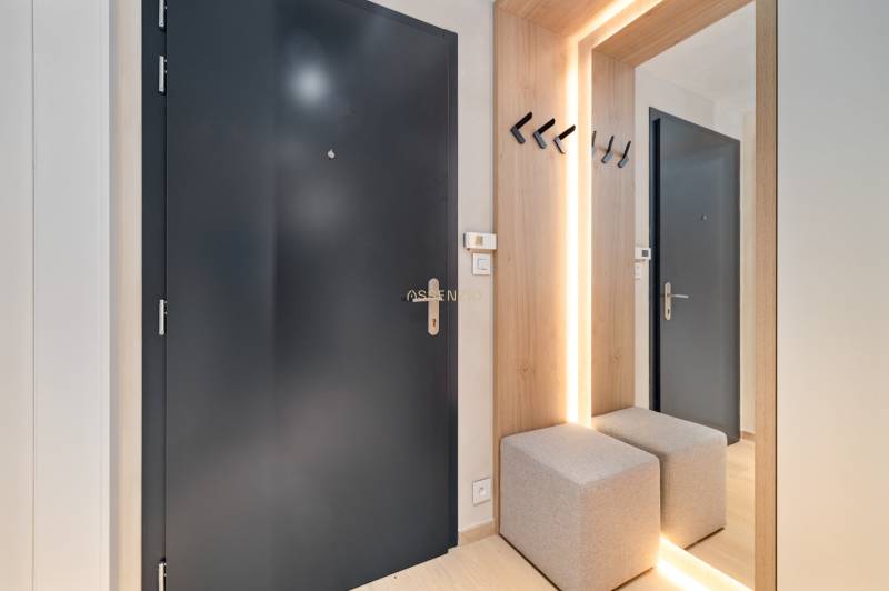 Entrance hall with dark doors, mirror, and lighting elements in a 3-room apartment.