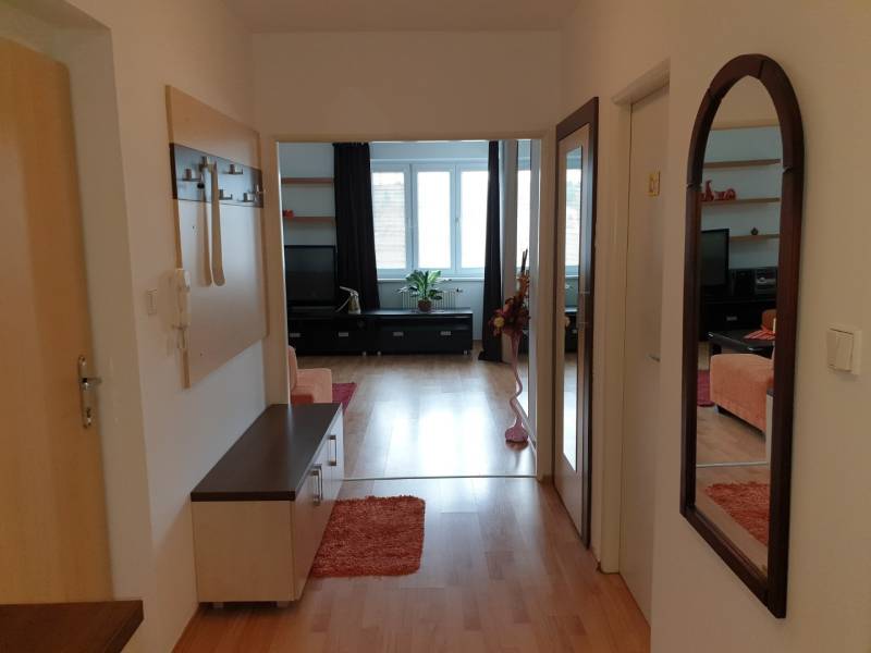 A hallway leading to the living room in a 4-room apartment with wooden flooring and mirrors.