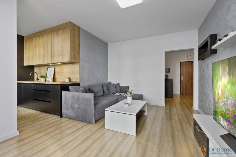 A stylish living room in a two-room apartment with a kitchen, wooden floor, and a sofa.