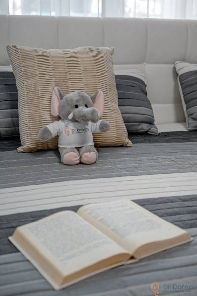 A toy elephant on a pillow with a book on a bed in a 2-room apartment.