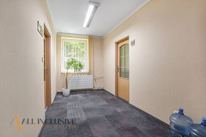 The hallway in the entrance area of the office with a flower and carried water.