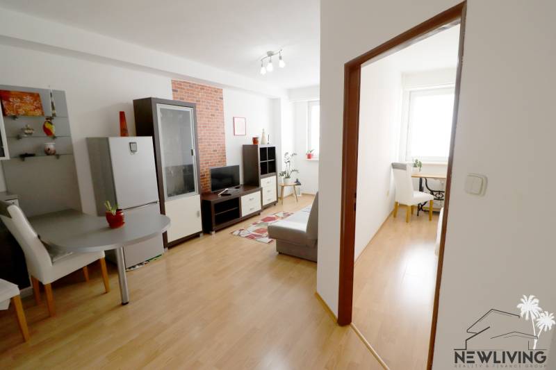 Living room in a two-room apartment with a sofa, television, and dining table.