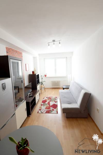 Living room in a 2-room apartment with a gray sofa, light wood, and a red carpet.