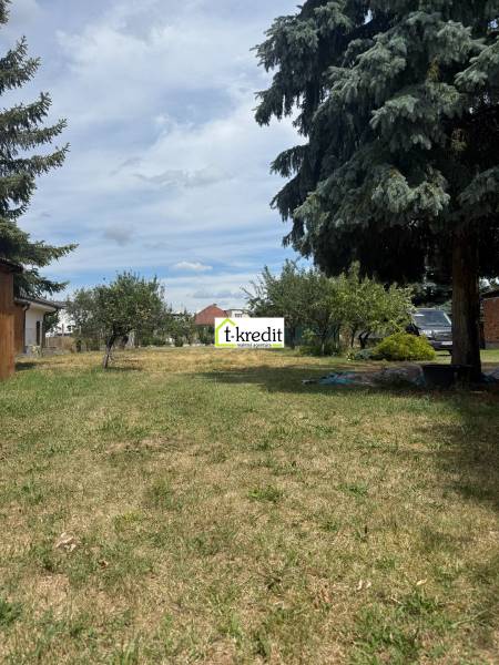 Grass area and trees on a residential plot in Zlaté Moravce.