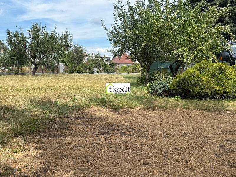 Trees and shrubs on a plot in Zlaté Moravce, ideal for living.