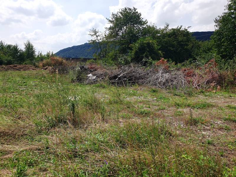Commercial land in Trenčianske Bohuslavice, with wild vegetation and piles of branches.