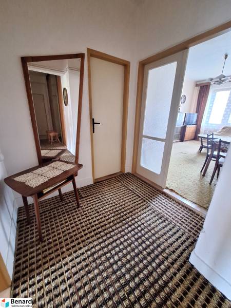 A hallway with a carpet and a mirror in a 2-room apartment, leading to the living room.