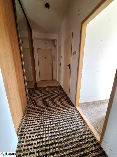 A hallway in a 2-room apartment with a patterned carpet and a built-in wardrobe.