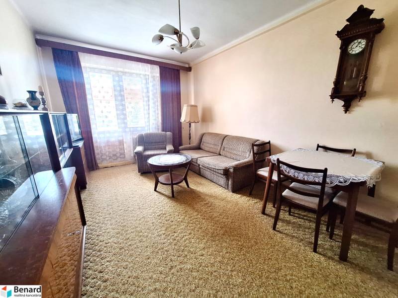 Living room in a two-room apartment with a sofa set, a table, and antique clock on the wall.