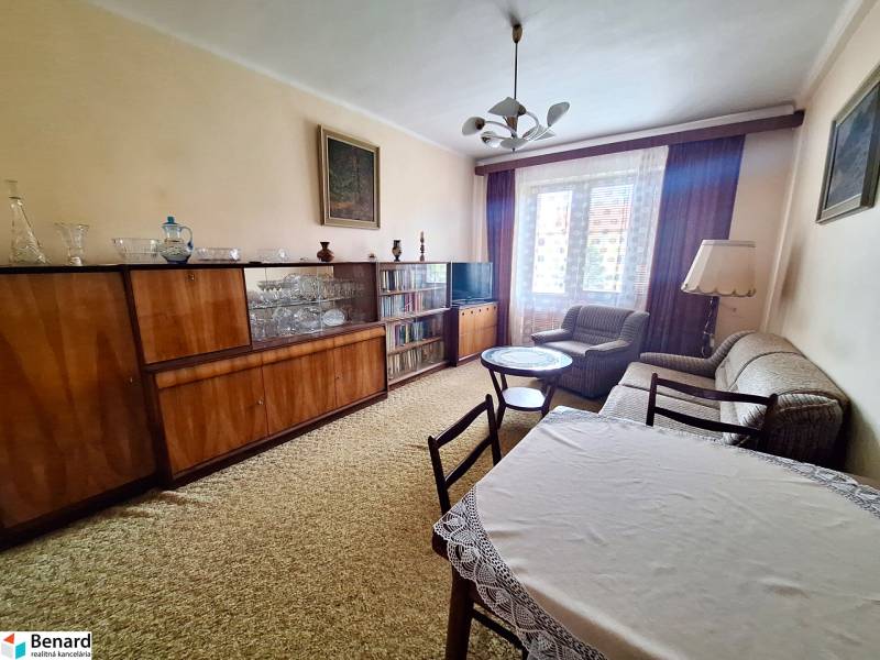Living room in a two-room apartment with classic furniture and a TV by the window.