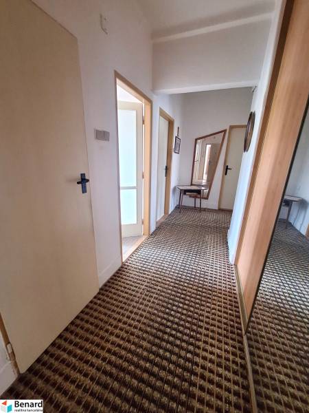 A hallway in a 2-room apartment with a carpet, mirror, and table.