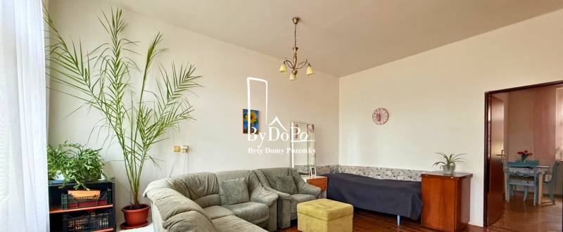 Living room in a family house with a sofa, plants, and a coffee table.