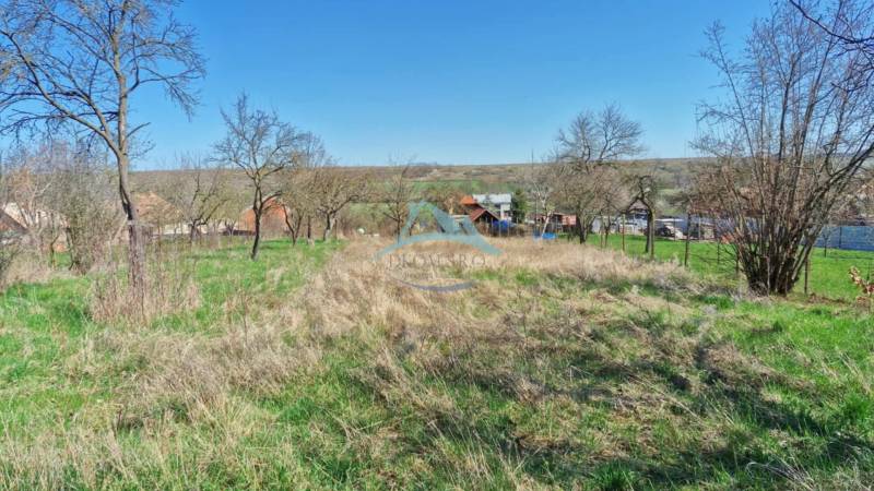 A grassy plot with fruit trees, ideal for countryside living.