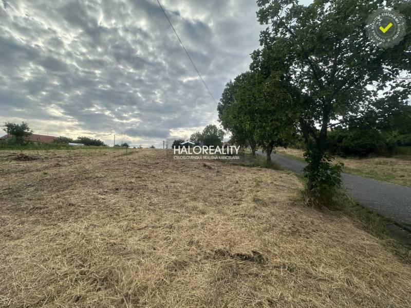 Lands - housing in Rybník, grass, trees, road, cloudy sky, peaceful location.