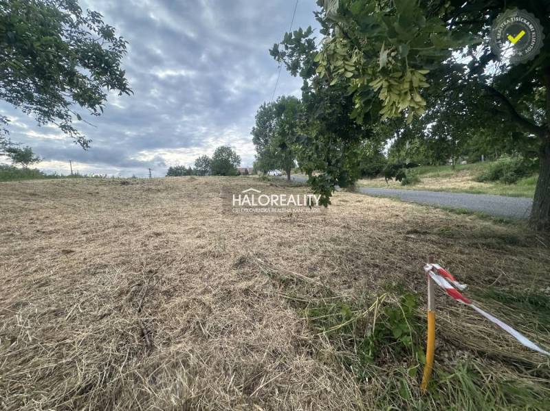 A plot in Rybník for living, grassy area by the road, surrounded by trees.