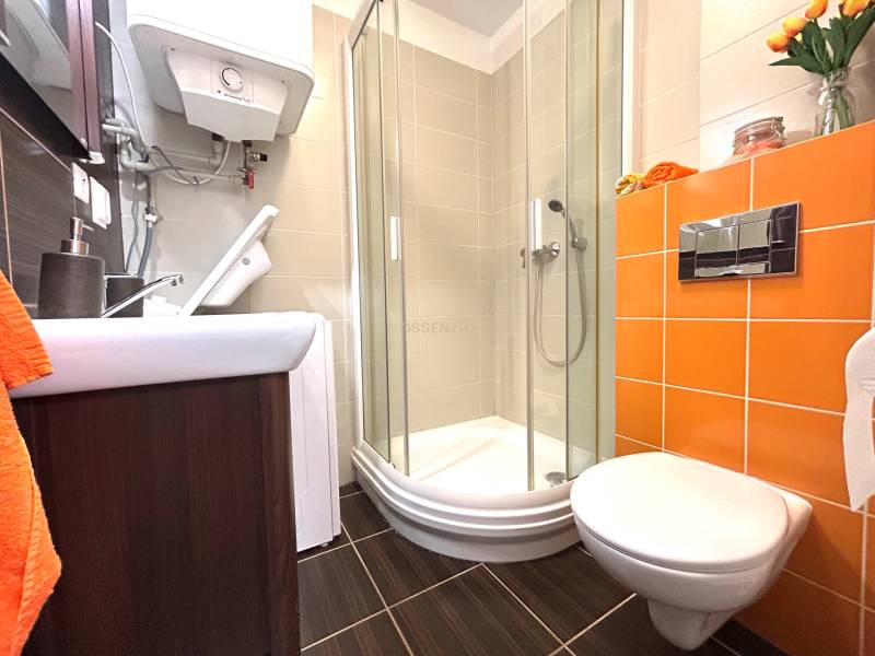 A bathroom in a studio apartment with a toilet, shower, and orange tiles.