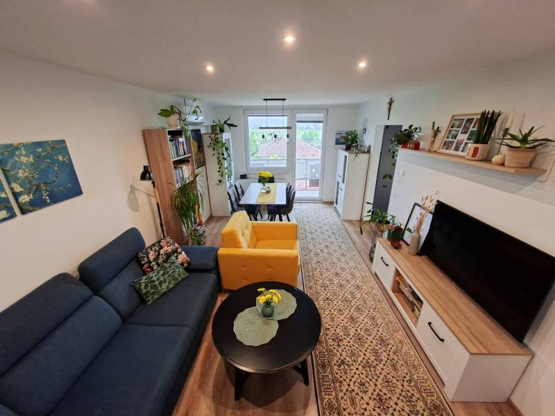 Living room in a 4-room apartment with colorful furniture, plants, and decorations.