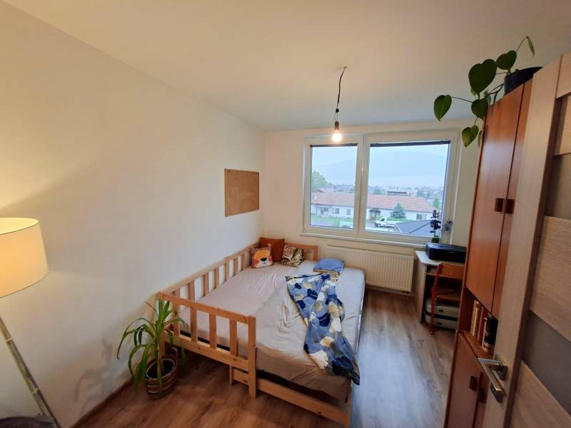A room in a 4-room apartment with standard furniture: bed, wardrobe, houseplant.